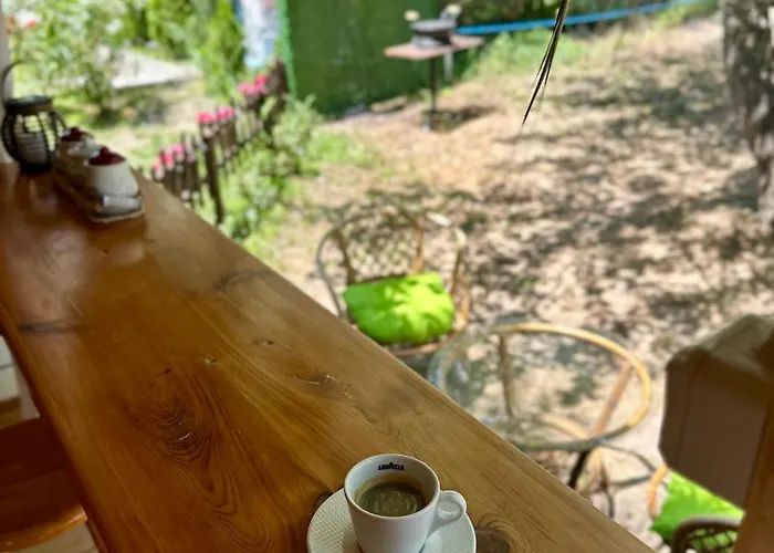 каравана бамбоо *